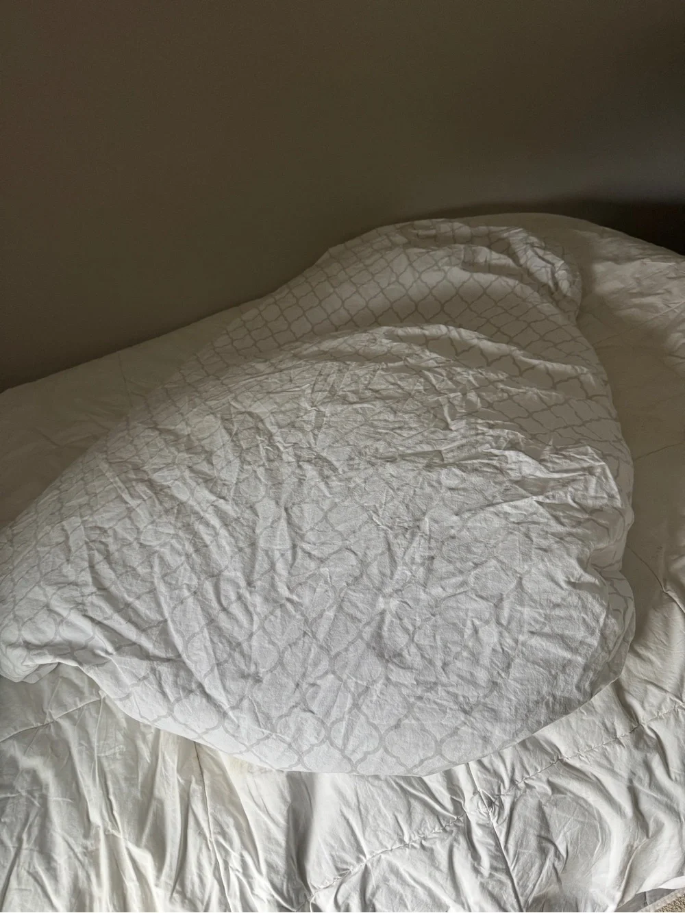 Twin XL Fitted Sheet 100% Cotton Grey Trellis Print White Quatrefoil Bedding TXL
